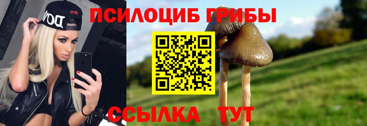 Можга  Псилоцибиновые грибы ЛСД  Вход с VPN 